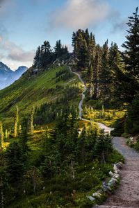 Alta Vista Trail is a 1.8 mile moderately trafficked loop trail located near Paradise Inn, Washington that features a river and is rated as moderate. The trail is primarily used for hiking and walking and is best used from July until October.