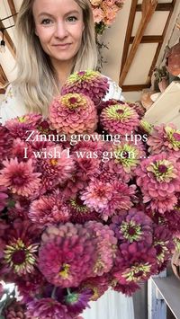 Some unconventional #zinnia growing tips for your #flower #garden! More tips in our full video! ❤️🌸