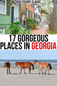 Looking for the most beautiful places in Georgia to visit? Here's where to look! best places to go in georgia usa | best places in georgia to go | best places to visit in ga usa | georgia best places to visit | best vacation spots in georgia | best georgia vacation spots | best travel destinations in georgia usa | georiga travel guide | where to go in georgia | prettiest places in georgia | best small towns in georgia