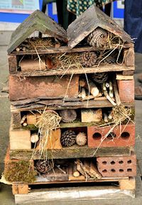 Bug home for the garden~ I would have loved to play with this as a kid. I love this idea. So CUTE.