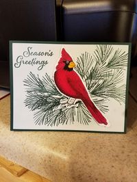 Season's Greetings