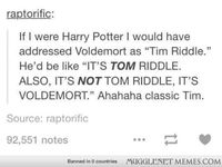 Harry Potter. Tom Riddle. Tim Riddle. Voldemort