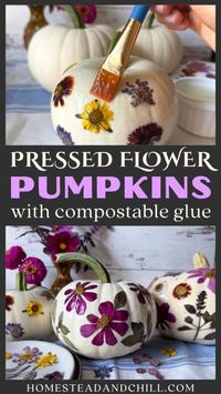 Looking for DIY pumpkin decorating ideas, with no carving involved? Come learn how to make beautiful natural pressed flower pumpkins using dried flowers, pressed fall leaves, herbs, or other botanicals plus DIY nontoxic biodegradable cornstarch glue - so your botanical pumpkins can be composted or eaten at the end of the season! This is such a fun and easy fall craft project idea for the whole family to enjoy. It's one of my favorite sustainable natural crafts and DIY halloween decorations!