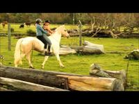 ▶ Crazy fun with the horses! - YouTube