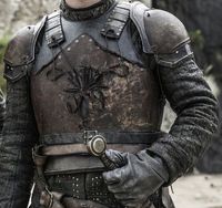 House Greyjoy armor