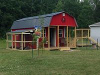 Mini barn for chickens, goats, rabbits and cats!