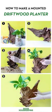 DIY Driftwood Planter