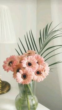 #flowers #gerbera #ideas #pinterest #aesthetic