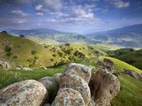 size: 24x18in Photographic Print: Rolling Green Hills of Central California No.2 by Ian Shive :