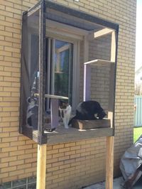 30+ DIY Catio Ideas That Are Totally Pawsome - PetHelpful