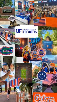 UNIVERSITY OF FLORIDA 🧡💙🌴🎉🏈