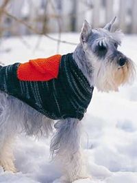 FREE Cargo Pocket Dog Coat  - LoveKnitting Blog