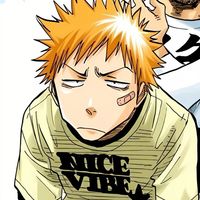 ichigo bleach icon pfp