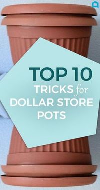 Here Are 10 Gorgeous Designer Tricks for Your Dollar Store Pots - You know these cheap Dollar Store flower pots? Instead of plopping your plan