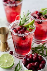 Christmas Cranberry Margarita