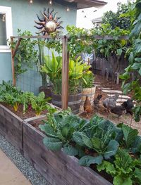 9 Ways to Add Whimsy and Interest to Your Garden ~ Homestead and Chill