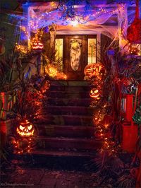 And the award for most exquisite Halloween Haunt goes to... More images of Christopher Week...