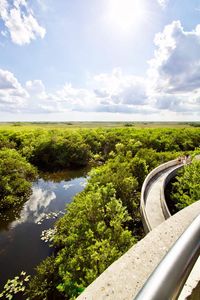 Discover the beauty of Shark Valley in the heart of the Everglades National Park, while also learning about the hidden costs of a Florida vacation. Explore more tips and insights on our page.