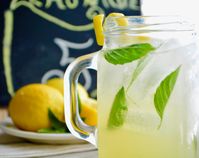 Italian Lemonade – A Kidney Friendly Lemonade