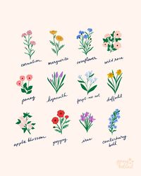 Vintage-inspired floral illustrations with hand lettering by Jenny Koland