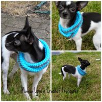 MandaLynn's Crochet Treasures : Crochet Infinity Scarf for Pup- Free Pattern 5 sizes