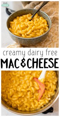 Get your comfort food fix with this delicious and super creamy dairy free mac and cheese that's easy to make with ingredients you most likely have on hand! Our recipe is also gluten free, peanut free, has a vegan option, and is made without cashews.