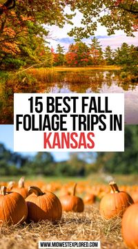 15 Best Fall Foliage Trips in Kansas | kansas fall foliage | fall in kansas city | kansas city things to do in fall | kansas city fall activities | missouri fall foliage road trip | kansas city travel guide | kansas road trip places to visit | things to do in kansas city | kansas city road trip | kansas missouri travel | #fallfoliage #kansas #missouri #usa #travel