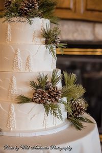 For Becky and Joshua’s outdoorsy February wedding, we topped their four-tier cake with a burst of pinecones and evergreen dusted with powdered sugar, which looks like a fresh layer of snow. Simple yet effective! The rustic motif continues down the side of the cake, which is frosted in buttercream textured to look like snow-covered mountains and trees. An elegant idea for a woodland, Christmas, or Winter Wonderland themed wedding. Photo from www.thewildauthentic.com. #spbakeshoppe