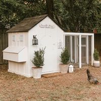 Chicken Coop with Easy Access Nesting Box