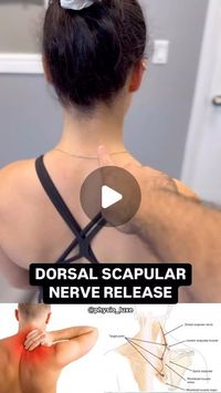 FisioTerapia🩻 on Instagram: "What Does a Pinched Dorsal Scapular Nerve Feel Like?🦴  🤕Experiencing sharp, stabbing pain or a deep ache between your shoulder blades? Does the discomfort radiate down your back or make it tough to move your neck and shoulders freely? You might be dealing with an irritated or pinched dorsal scapular nerve.  📚 Anatomy & Function: The dorsal scapular nerve originates from the C5 nerve root in your neck, running down to innervate the rhomboid muscles and the levator scapulae. These muscles are crucial for stabilizing and moving your shoulder blades, playing a key role in shoulder and upper back movements.  🩺 Symptoms: • Sharp, localized pain between the shoulder blades • Radiating discomfort to the upper back or neck Muscle weakness or spasms in the affected