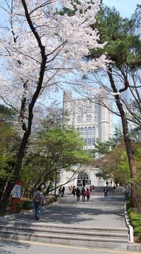 1.1 Kyung Hee University 前不久，在微博上看到一个视频，一位丈夫为妻子举办了一场感人的校园婚礼。