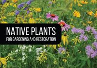 Prairie Moon Nursery - Native Plants for Gardening and Restoration