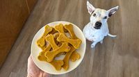 Pumpkin Dog Treats: A Tasty Superfood for Your Pup - Life Extension