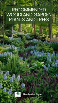 Explore the best plants and trees for your woodland garden. Learn which species thrive in a woodland setting and enhance your garden's beauty. Visit TheGardenStyle.com to learn more.