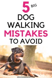 5 Mistakes You Are Making on Dog Walks - Well Mannered Pups