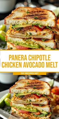 Make a delicious Panera Chipotle Chicken Avocado Melt at home.