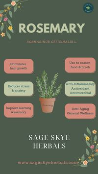 This amazing herb, Rosemary, is an absolute essential in my home! I truly believe that everyone should have it readily available, whether it’s in your spice cabinet or stocked in your home apothecary. I rely on Rosemary for promoting hair growth, incorporating it into tea blends, and enhancing the flavor of every broth I prepare.