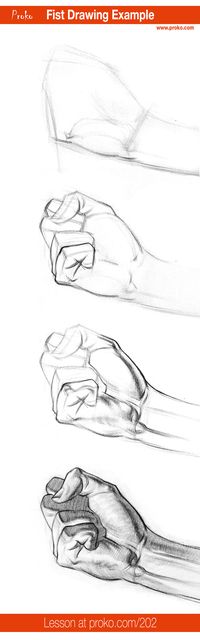 Here's an example of how to draw a fist. More anatomy lessons at proko.com/library