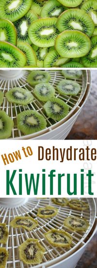 How to Dehydrate Kiwifruit, Things you can dehydrate, dehydrating recipes, KIWI, Kiwifruit, food preservation