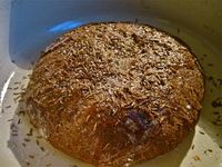 Les Misérables Black Rye Bread by Cara Nicoletti: http://yummy-books.com/2013/01/21/les-miserables-black-rye-bread/