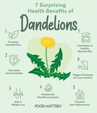 7 Surprising Health Benefits of Dandelions | FOOD MATTERS®