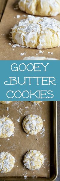 1 dozen gooey butter cake cookies MADE FROM SCRATCH. No cake mix! #gooeybutter #gooeybuttercake #cookies via @dessertfortwo