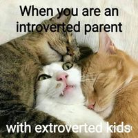 introverted parent meme