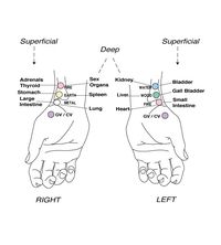 Neuro Emotional Technique for the treatment of trigger point sensitivity in chronic neck pain sufferers: A controlled clinical trial | Chiropractic & Manual Therapies | Full Text