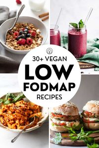 Delicious vegan low FODMAP recipes covering breakfast, lunch, dinner, dessert and snacks! Our easy and healthy picks are all gluten-free, pretty healthy and quick to make. Try delicious vegan bowls, pasta, oatmeal, smoothies and baked goods while on a plant-based low FODMAP diet! Everything's easy to digest and suitable for IBS.