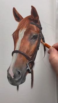 It's all about layers, layers, layers when it comes to drawing realistic animals in coloured pencil. If you'd like to learn how to draw realistic horses like this one, join the Bonny Snowdon Academy today. There, you'll learn my tried and tested techniques with the help of realtime, step-by-step tutorials. #learntodraw #colouredpencilart #drawinghorses #bonnysnowdonacademy #drawinganimals #arttutorials