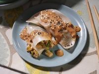 Sunnys Garlic Ginger Chicken Dumplings with Peanut Dipping Sauce