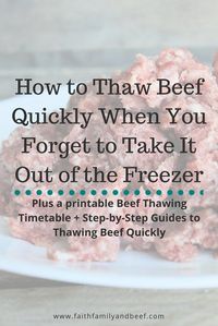 How to Thaw Beef Quickly When You Forget to Take It Out of the Freezer - plus a printable Beef Thawing Timetable + Step-by-Step Guides to Thawing Beef Quickly