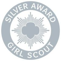 Girl Scout Silver Award guidelines