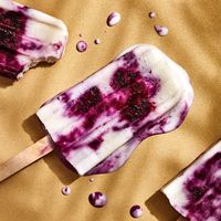 Yogurt- Berry Paletas Recipe | Bon Appétit